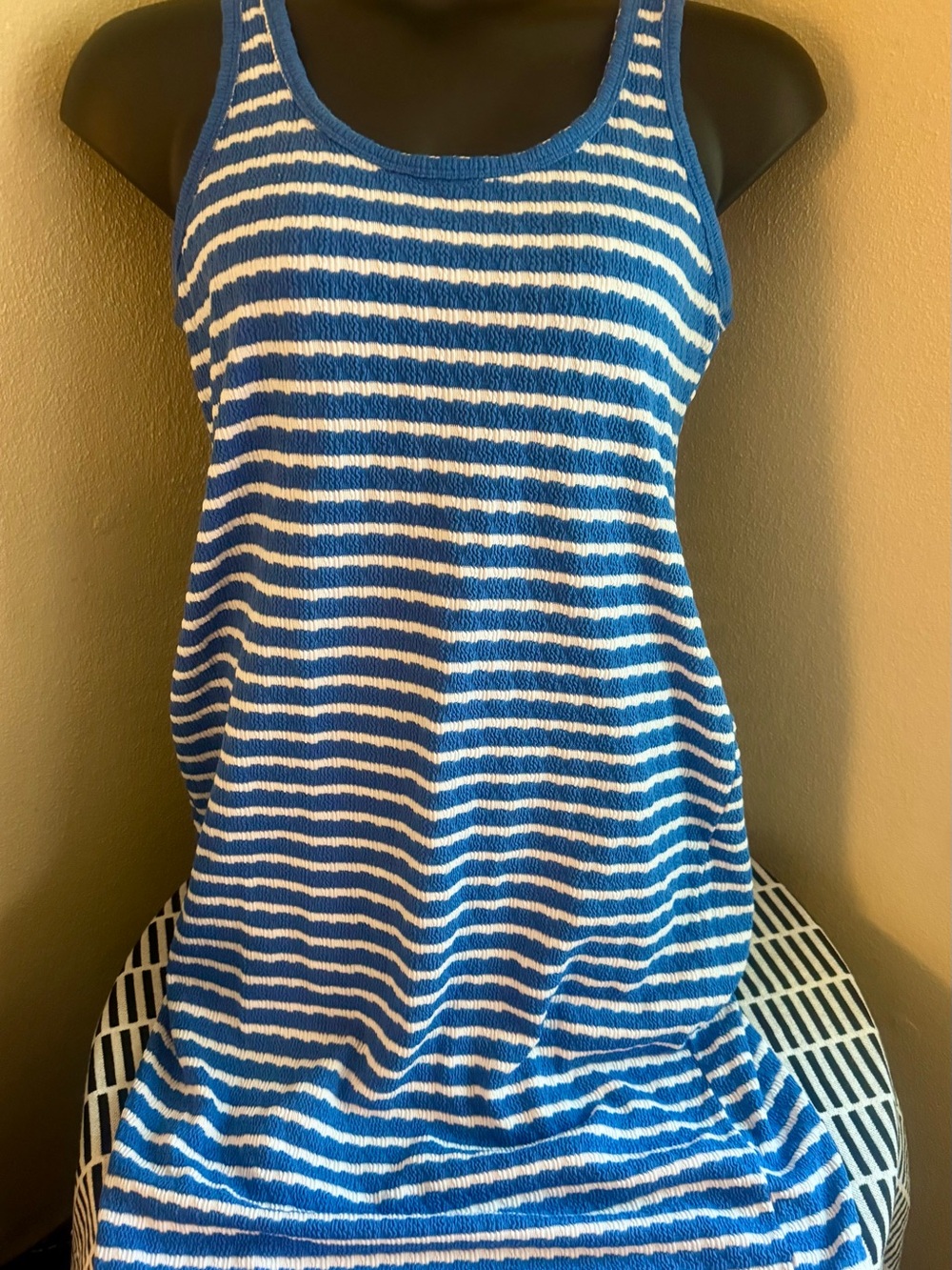 Blue and White Striped Knit Tank Dress